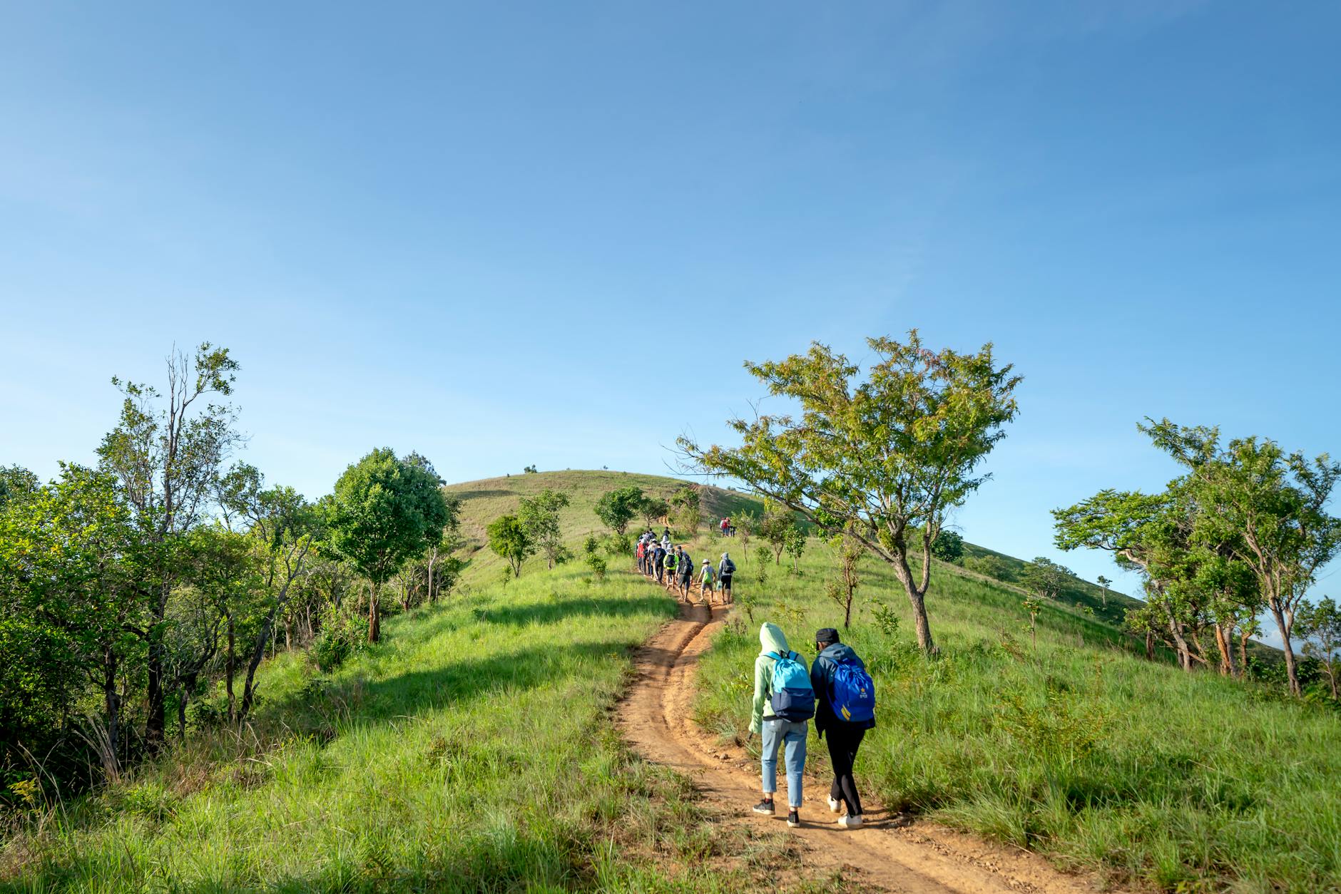 unrecognizable backpackers walking on green hill during trekking